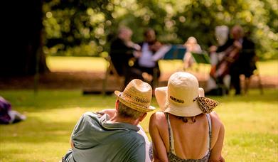 Couple sitting on grass listening to a live band in the background