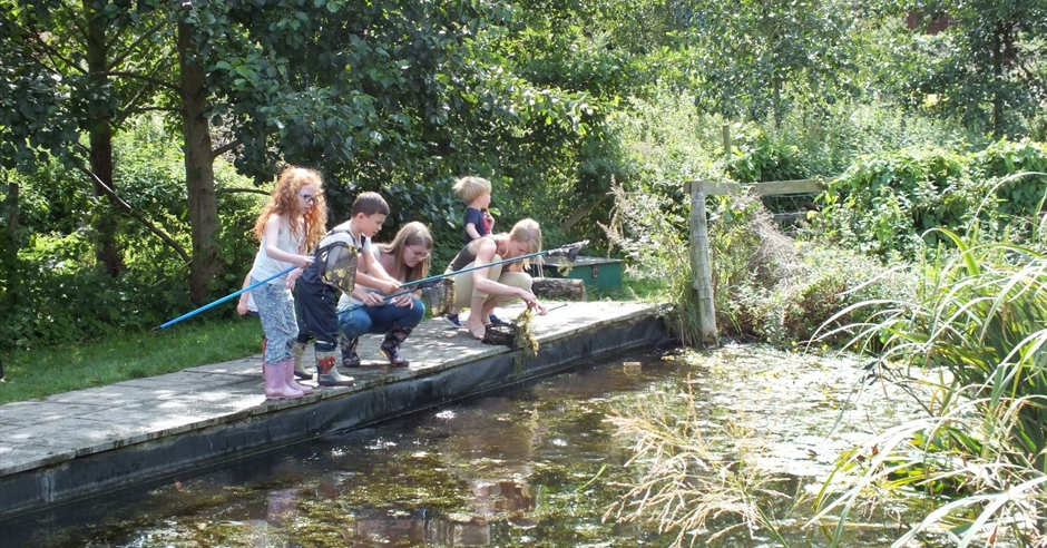 Pond Dipping at Woodlands Farm - School Holiday Event in Welling ...