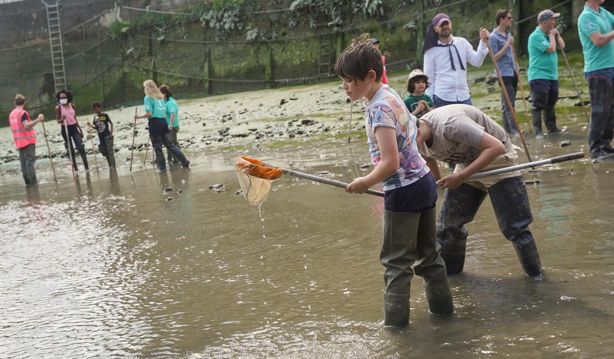 Family Low Tide Walk