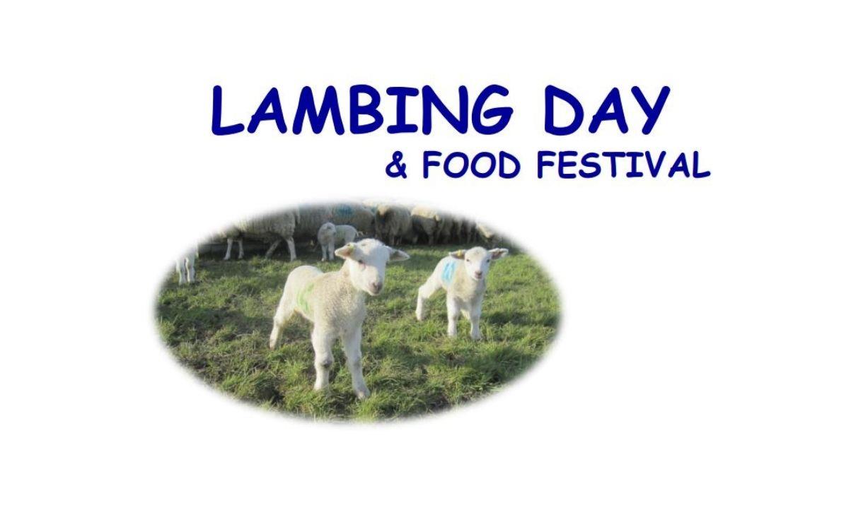 Come and see the new-born lambs and enjoy various food stalls