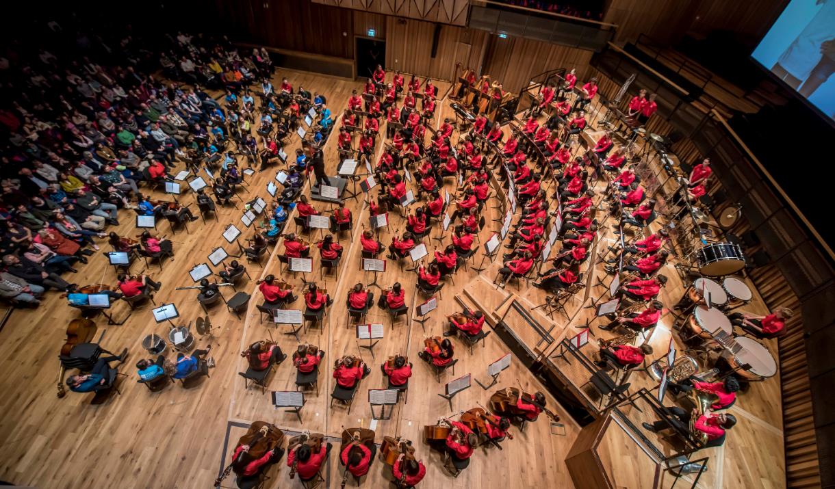 The National Children's Orchestras of Great Britain is enormously proud to present its exceptional 2024 Main Orchestra at Woolwich Works for their fin