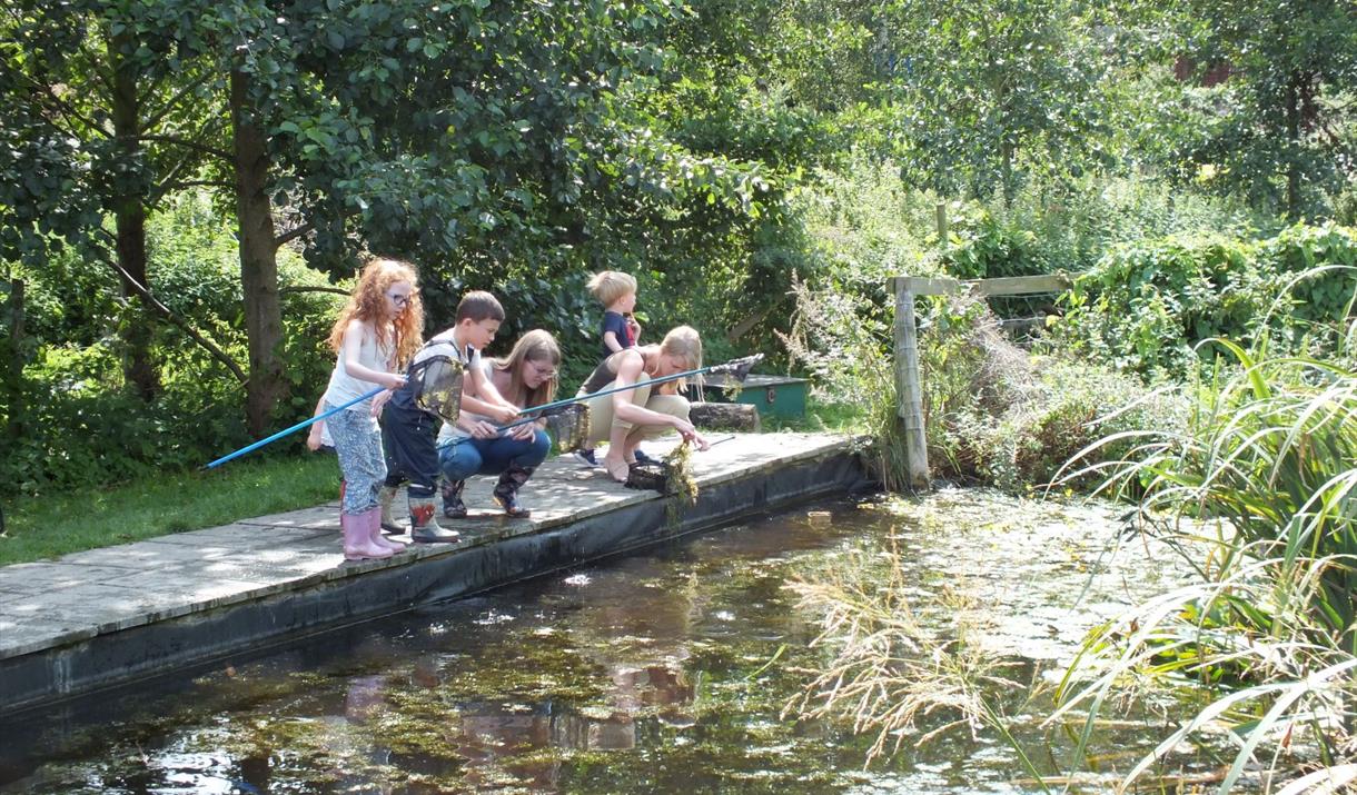 Pond Dipping at Woodlands Farm - School Holiday Event in Welling ...