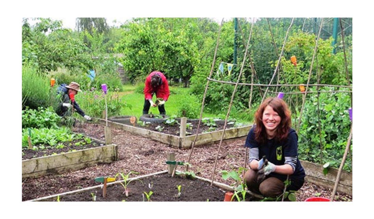 Join the wardens in their quest to find newts, beetles, worms, snake millipedes and more