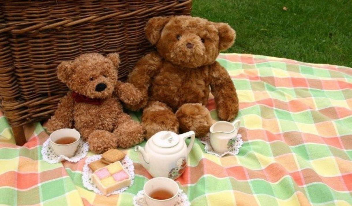 Come alone with your teddies for an afternoon of playing and picnicking