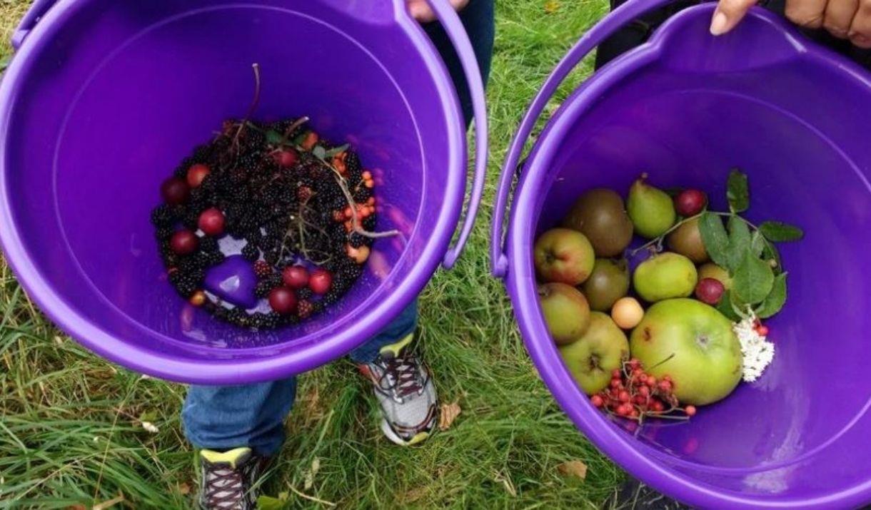 A waterside foraging walk exploring the unexpectedly edible city.