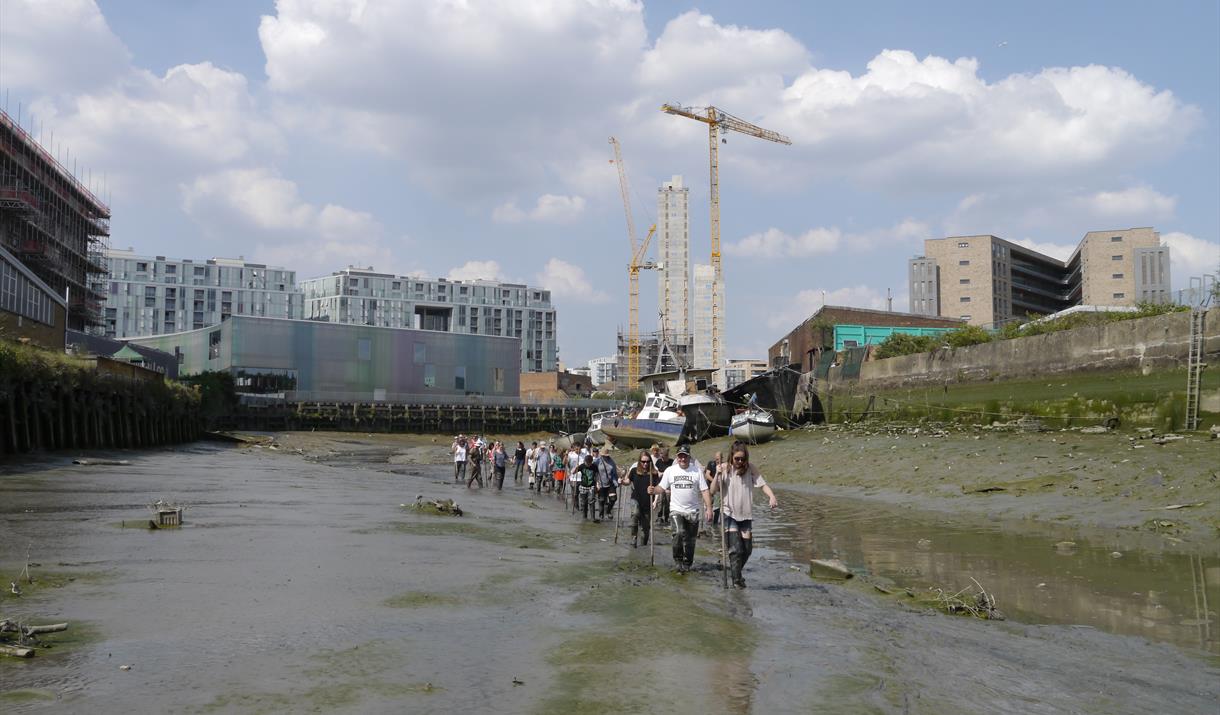 Come and explore Deptford Creek with experts and find out about the local and natural history of this amazing urban space