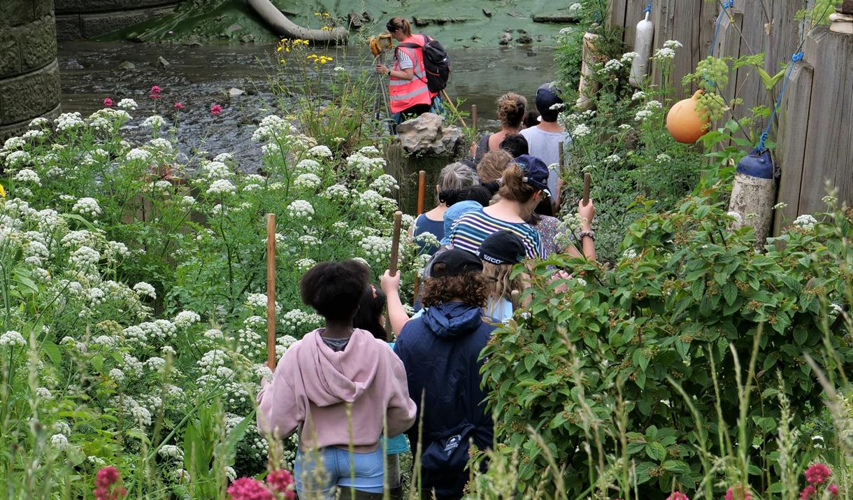 Explore your local wildlife with a FREE guided walk from a  conservationist.