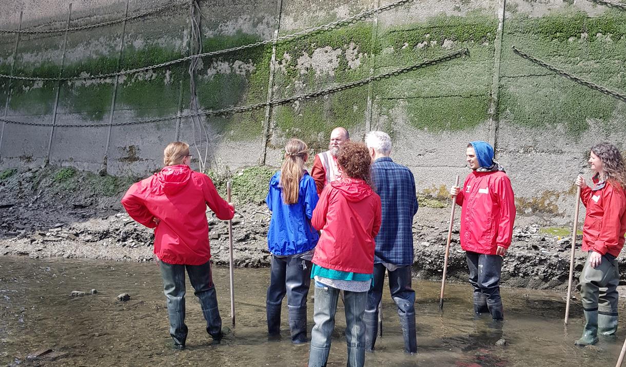 The Creek Know-How course shares the secrets of this hidden gem as you learn about Deptford Creek and the tidal environment.