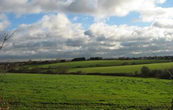 The Woodland Farm Trust