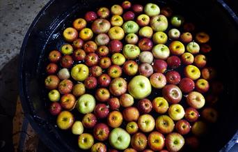 Browse a selection of local food stalls and pick up some of the wonderful different British Apple varieties.