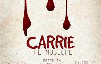 Carrie is based on Stephen King’s bestselling novel, featuring a book by Lawrence D. Cohen (screenwriter of the classic film)