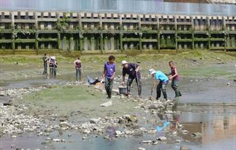 Low Tide Walk lets you explore the Creek with experts and find out about the local and natural history of this amazing urban space.