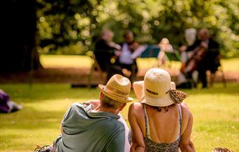 Couple sitting on grass listening to a live band in the background