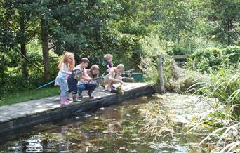 Come and try pond dipping!