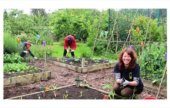 Join the wardens in their quest to find newts, beetles, worms, snake millipedes and more