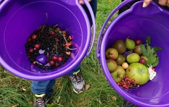 A waterside foraging walk exploring the unexpectedly edible city.