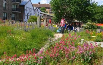 Explore your local wildlife and find out more about nature as you help in building a picture of what's on your doorstep and how climate change is affe