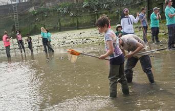 a chance to explore the river and meet the wildlife, from mitten crabs and flounders to butterflies and toadlets, discover a hidden world right on you