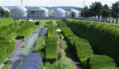 Looking across the park's sunken garden towards the Thames Barrier.