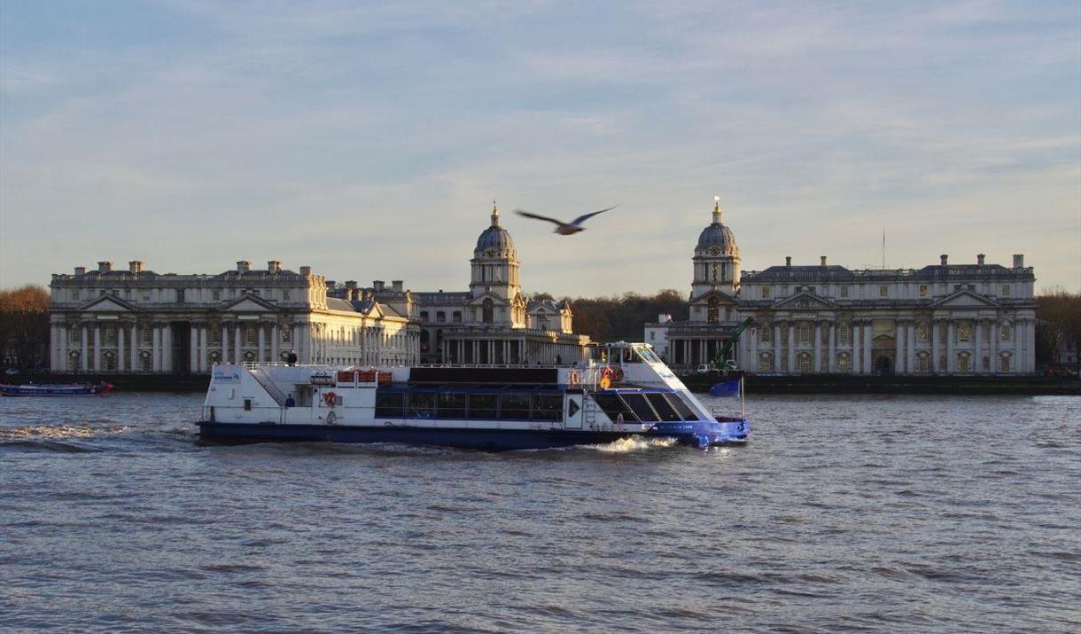 City Cruises City Cruises