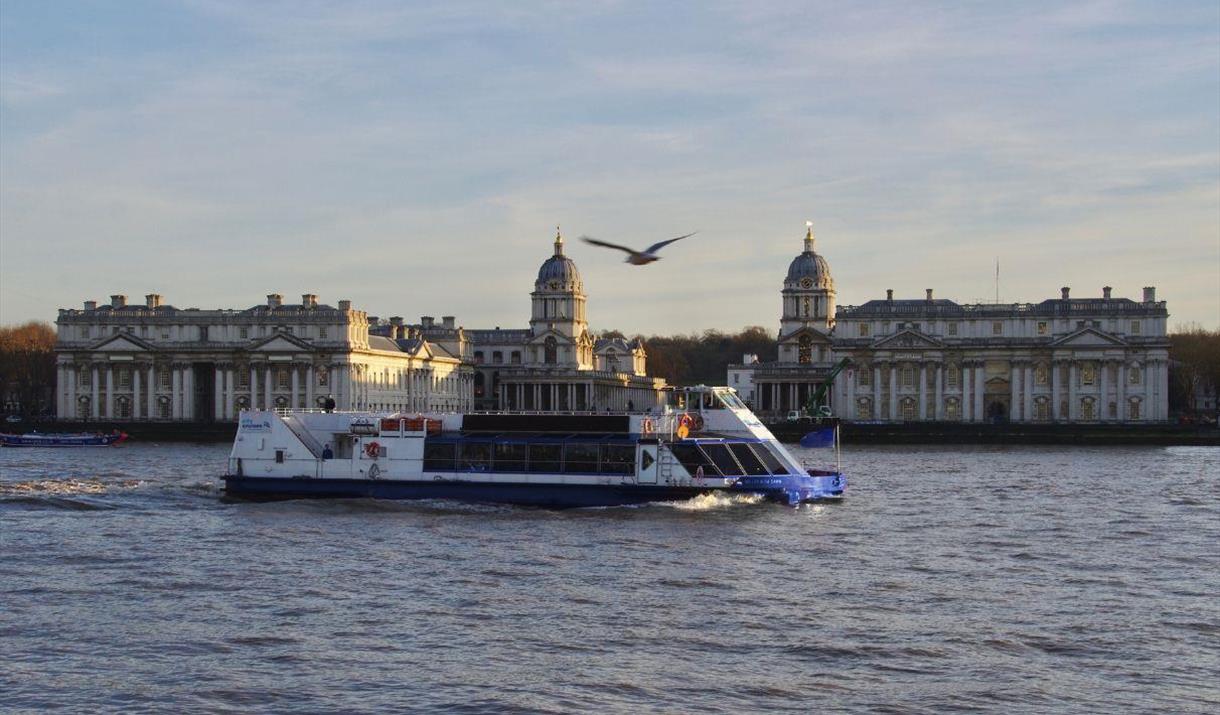 City Cruises